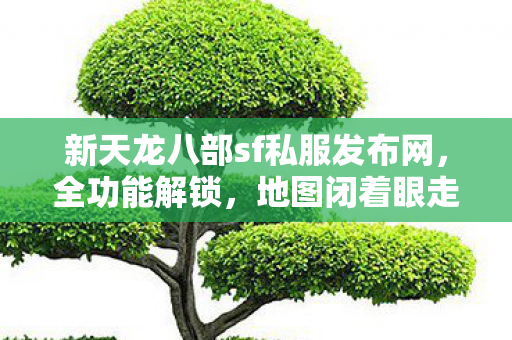 PK乱杀的骨灰级玩法天龙私服图片