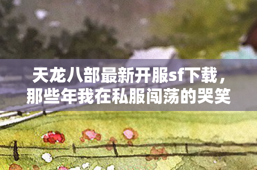那些年我在私服闯荡的哭笑不得事儿天龙私服图片