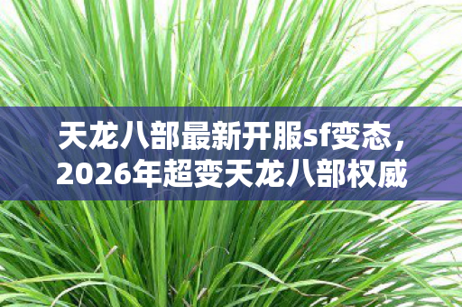 2026年超变天龙八部权威玩法指南与痛点全解天龙八部私服图片