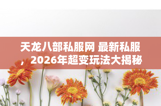 天龙八部私服网 最新私服图片