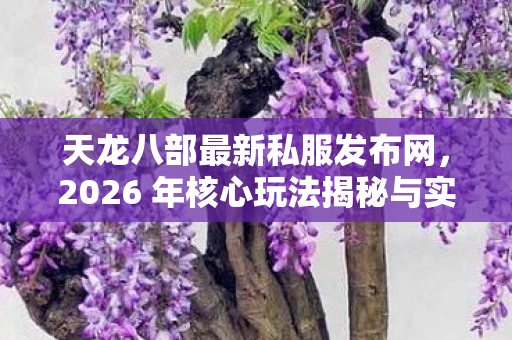 天龙八部最新私服发布网,2026 年核心玩法揭秘与实用指南天龙八部私服 天龙八部最新私服发布网,2026 年核心玩法揭秘与实用指南天龙八部私服