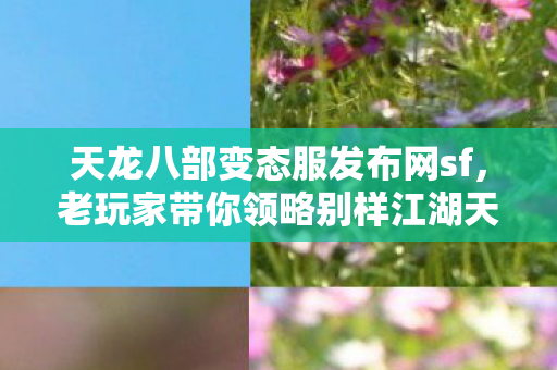 老玩家带你领略别样江湖天龙私服图片