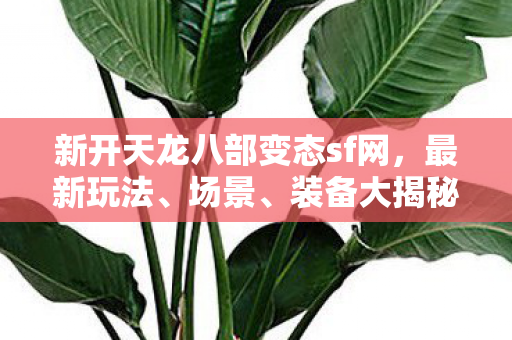 新开天龙八部变态sf网图片