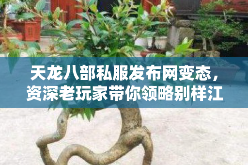 资深老玩家带你领略别样江湖天龙八部私服图片