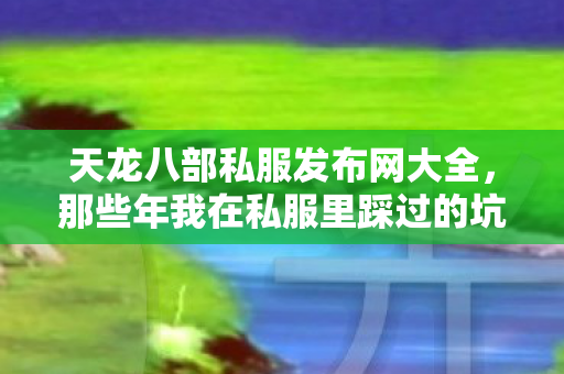天龙八部私服发布网大全，那些年我在私服里踩过的坑与摸出的门道天龙八部私服