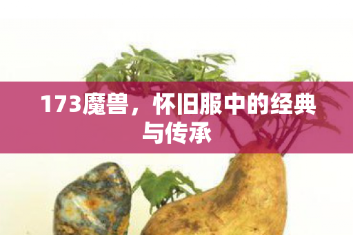 怀旧服中的经典与传承图片