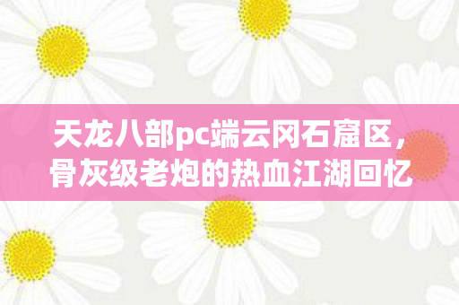 骨灰级老炮的热血江湖回忆录天龙私服图片