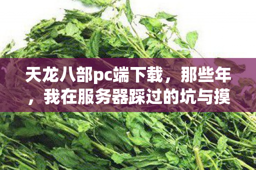 我在服务器踩过的坑与摸出的野路子天龙八部私服图片