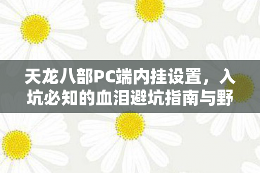 入坑必知的血泪避坑指南与野路子分享天龙私服图片