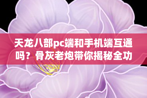 骨灰老炮带你揭秘全功能解锁玩法图片