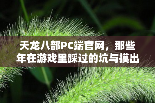 那些年在游戏里踩过的坑与摸出的野路子天龙私服图片