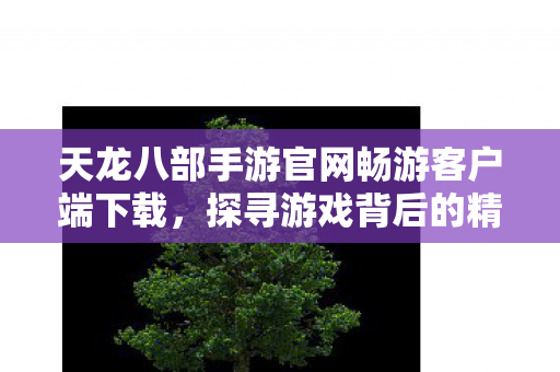 探寻游戏背后的精彩与曲折天龙八部私服图片