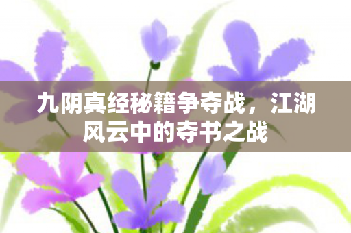 江湖风云中的夺书之战图片