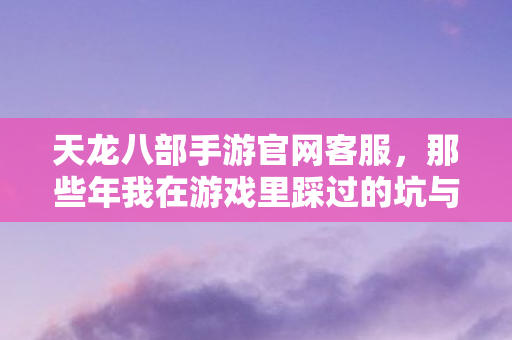 那些年我在游戏里踩过的坑与摸出的野路子天龙私服图片