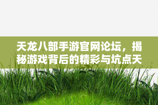 揭秘游戏背后的精彩与坑点天龙私服图片
