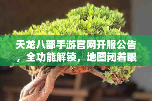 天龙八部手游官网开服公告图片