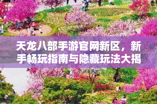 新手畅玩指南与隐藏玩法大揭秘天龙私服图片