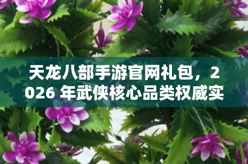 2026 年武侠核心品类权威实用指南与痛点全解天龙八部私服图片
