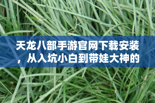 从入坑小白到带娃大神的逆袭之路天龙八部私服图片