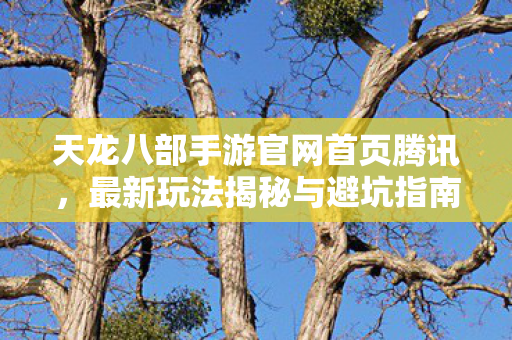 最新玩法揭秘与避坑指南天龙八部私服图片