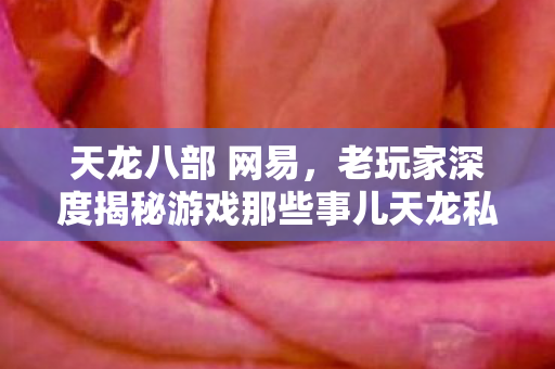 老玩家深度揭秘游戏那些事儿天龙私服图片