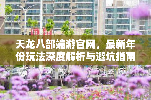 最新年份玩法深度解析与避坑指南天龙私服图片
