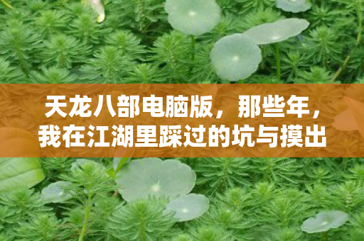 我在江湖里踩过的坑与摸出的招天龙私服图片