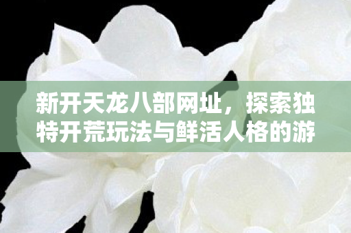 探索独特开荒玩法与鲜活人格的游戏世界天龙私服图片