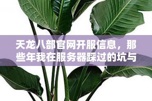 那些年我在服务器踩过的坑与摸出的野路子天龙私服图片