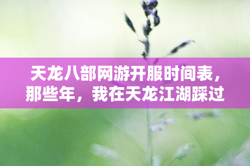我在天龙江湖踩过的坑与摸出的门道天龙八部私服图片