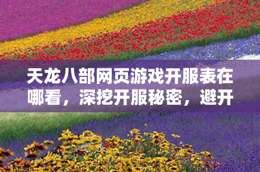 天龙八部网页游戏开服表在哪看图片