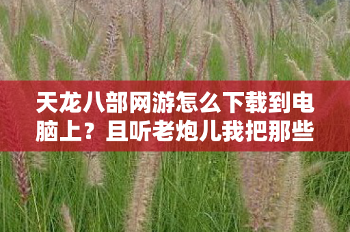 且听老炮儿我把那些年的江湖事儿唠唠天龙八部私服图片