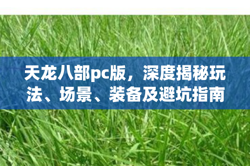 装备及避坑指南天龙私服图片