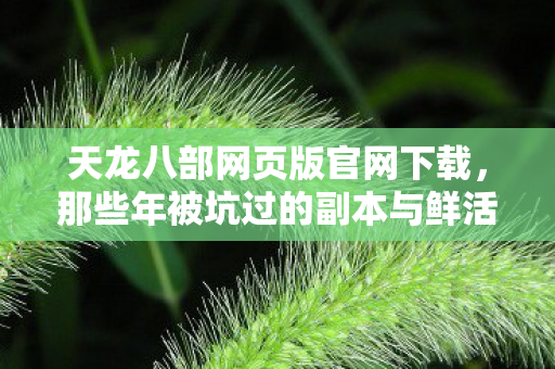 那些年被坑过的副本与鲜活的NPC们天龙私服图片