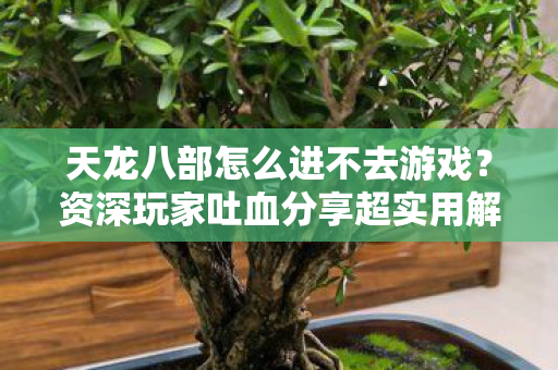资深玩家吐血分享超实用解决秘籍图片
