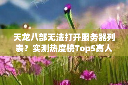 天龙八部无法打开服务器列表图片