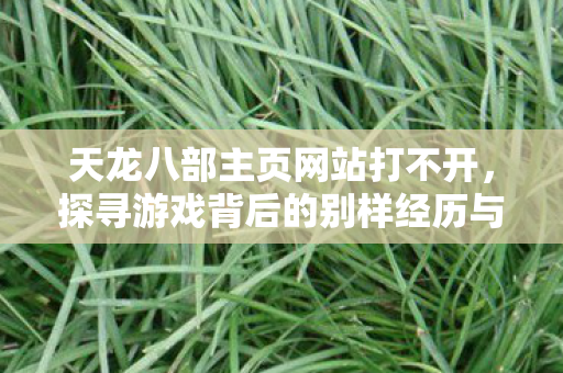 探寻游戏背后的别样经历与玩法门道天龙私服图片