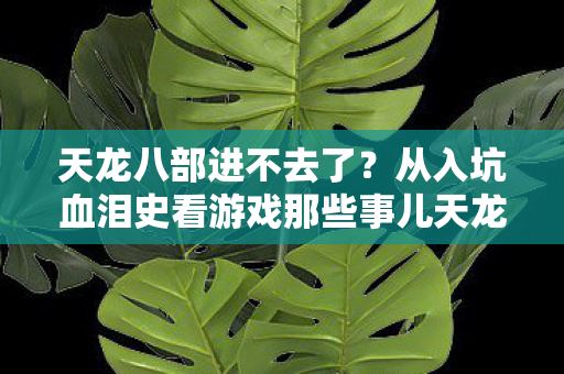 从入坑血泪史看游戏那些事儿天龙私服图片
