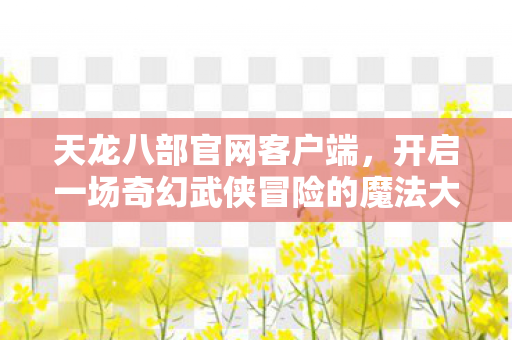 开启一场奇幻武侠冒险的魔法大门天龙八部私服图片