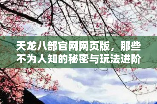 那些不为人知的秘密与玩法进阶天龙八部私服图片