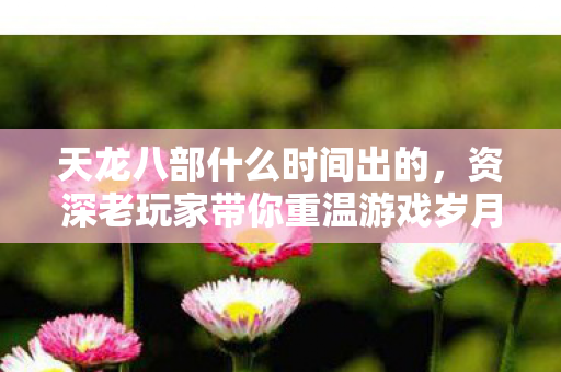 资深老玩家带你重温游戏岁月天龙八部私服图片