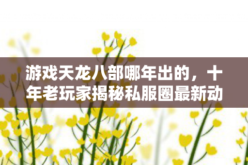 十年老玩家揭秘私服圈最新动态与避坑指南天龙私服图片