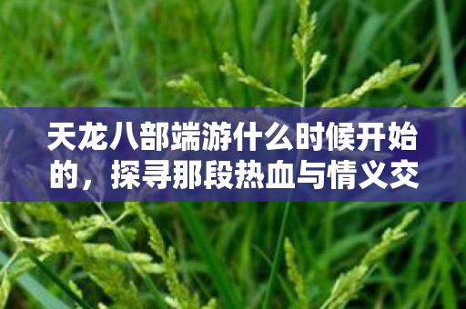 天龙八部端游什么时候开始的,探寻那段热血与情义交织的江湖岁月天龙八部私服 天龙八部端游什么时候开始的,探寻那段热血与情义交织的江湖岁月天龙八部私服