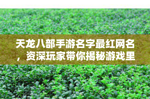 资深玩家带你揭秘游戏里的那些事儿天龙八部私服图片