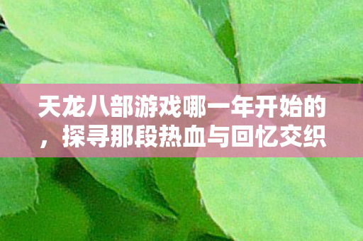 探寻那段热血与回忆交织的江湖岁月天龙私服图片