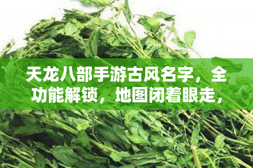 天龙八部手游古风名字，全功能解锁，地图闭着眼走，PK乱杀的骨灰级玩法天龙私服
