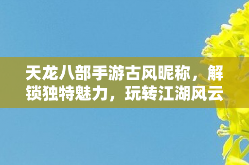 玩转江湖风云天龙八部私服图片