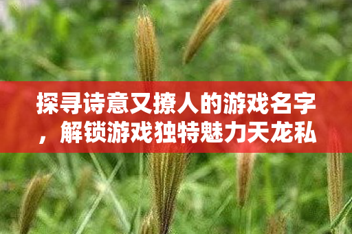 探寻诗意又撩人的游戏名字图片