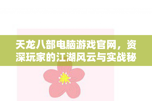 资深玩家的江湖风云与实战秘籍天龙私服图片