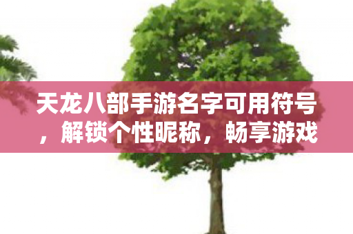 畅享游戏独特魅力天龙八部私服图片